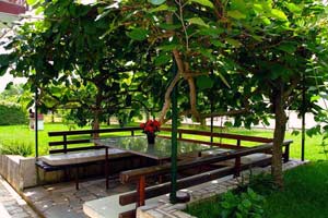 Kameni stol u dvorištu u hladovini bujne pergule